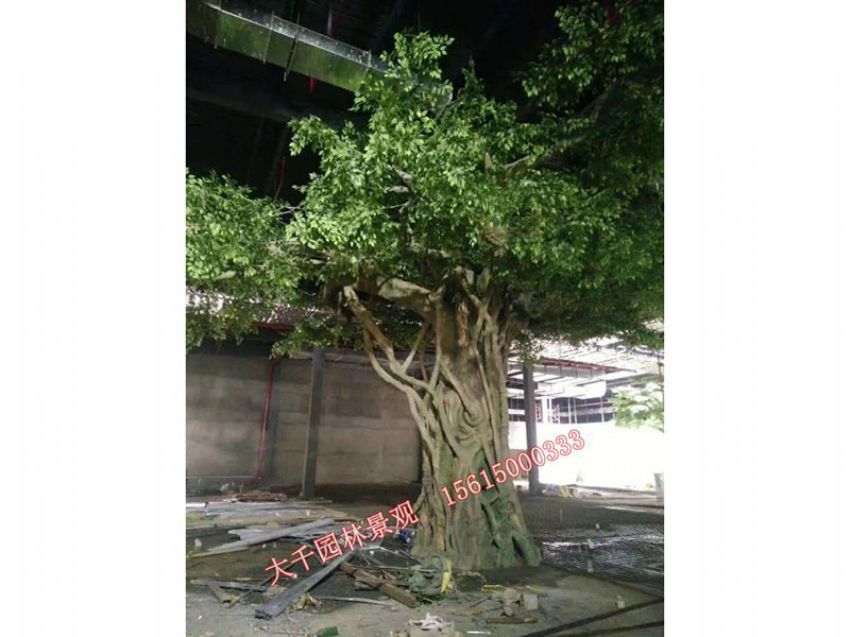 點擊查看詳細信息<br>標題：假樹 閱讀次數：2679